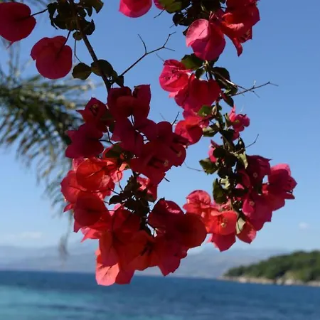 Melanthi Corfu *