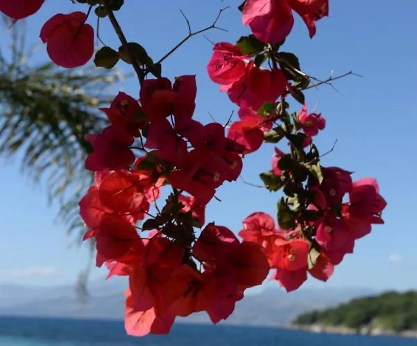 Melanthi Corfu *